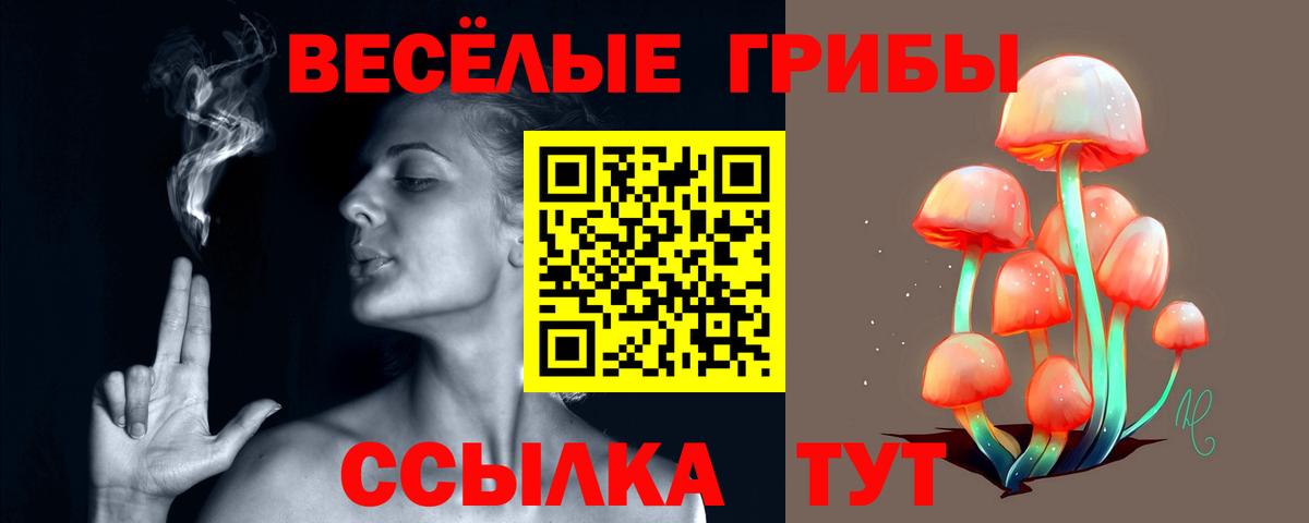 Махачкала  Псилоцибиновые грибы мухоморы  Вход с VPN  Галлюциногенные грибы Cubensis 